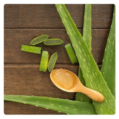 Línea Herbal Aloe